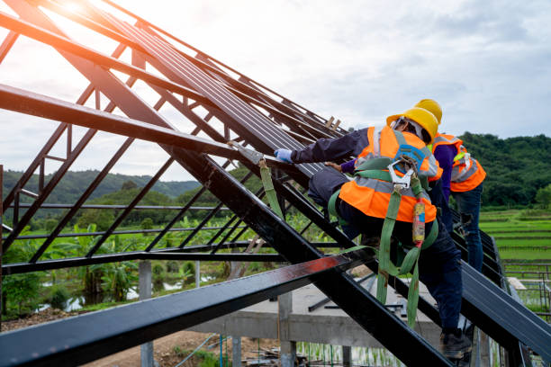 Best Metal Roofing Contractor  in Homer, GA