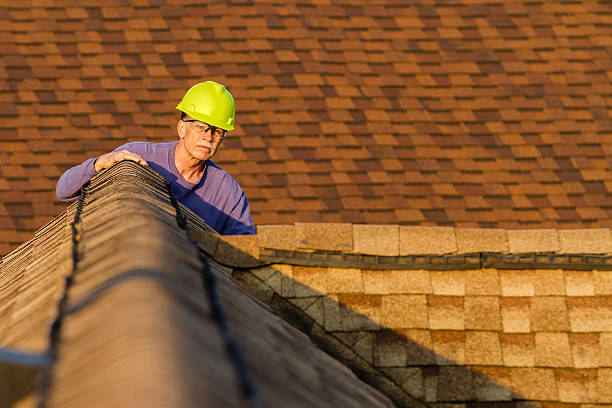 Best Roof Maintenance Services  in Homer, GA